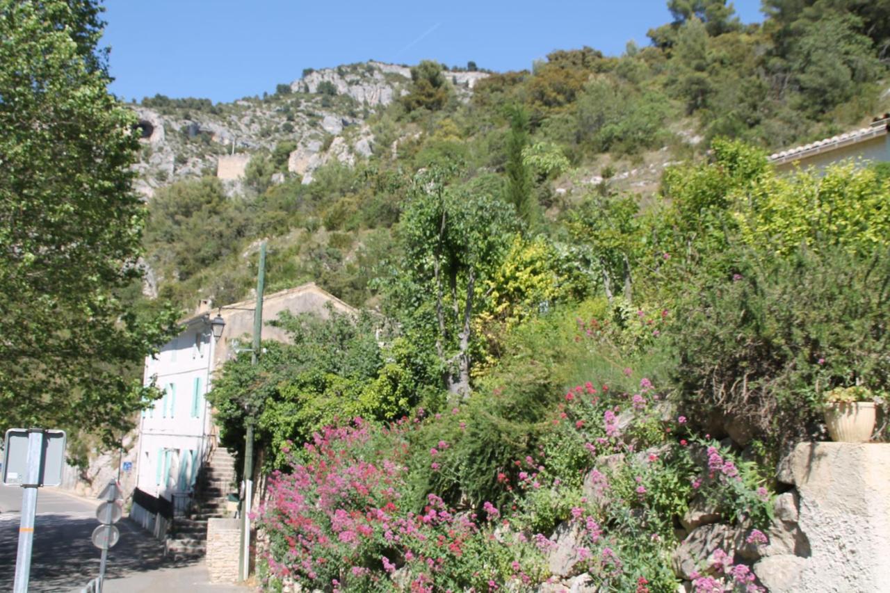 Au Bonheur De Lili Διαμέρισμα Fontaine-de-Vaucluse Εξωτερικό φωτογραφία